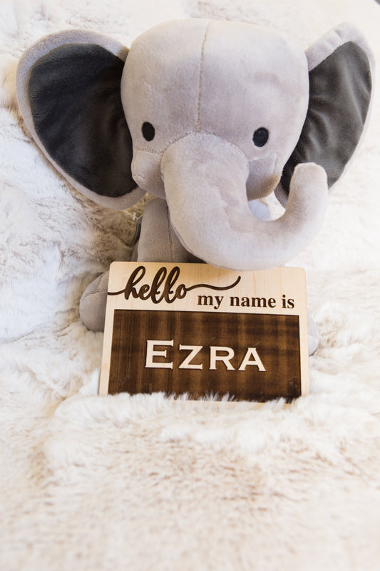 A wooden "Hello my Name is" birth announcement sign propped on a gray elephant.